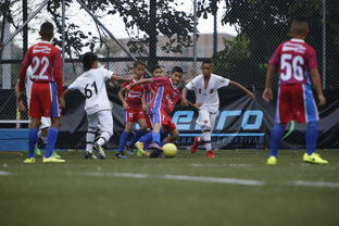 中国足球青训成果展示会在多地举办，中国足球青训比赛