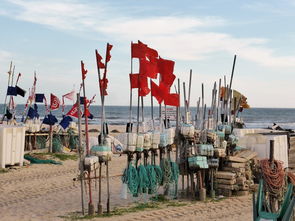 惠州海滩台风后海鲜多，市民迎来好收成，惠州台风今天最新消息刚刚